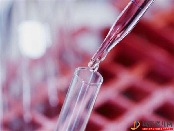 菏澤中醫醫院做試管移植兩個鮮胚費用貴不貴？(圖1)