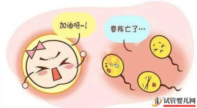 無精子癥就沒辦法要自己的寶寶了嗎(圖2)