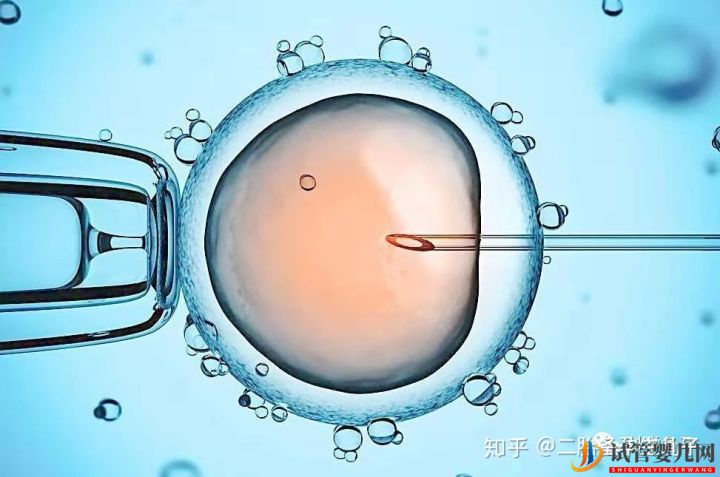 試管嬰兒的壽命跟正常孩一樣嗎答案讓你意外!(圖2)