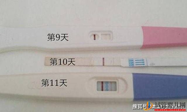 試管幾天能測出來懷孕？試管嬰兒移植后幾天能測出來？(圖1)