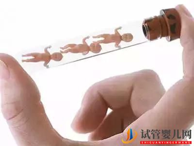 試管嬰兒90%不是自己的親生骨肉?這個(gè)瓜我吃定了(試管嬰兒費(fèi)用大概要多少錢)(圖1) 試管嬰兒90%不是自己的親生骨肉?這個(gè)瓜我吃定了(圖1)