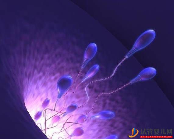 試管嬰兒和正常生育的嬰兒有什么區(qū)別？或許多數(shù)人不清楚(圖1)