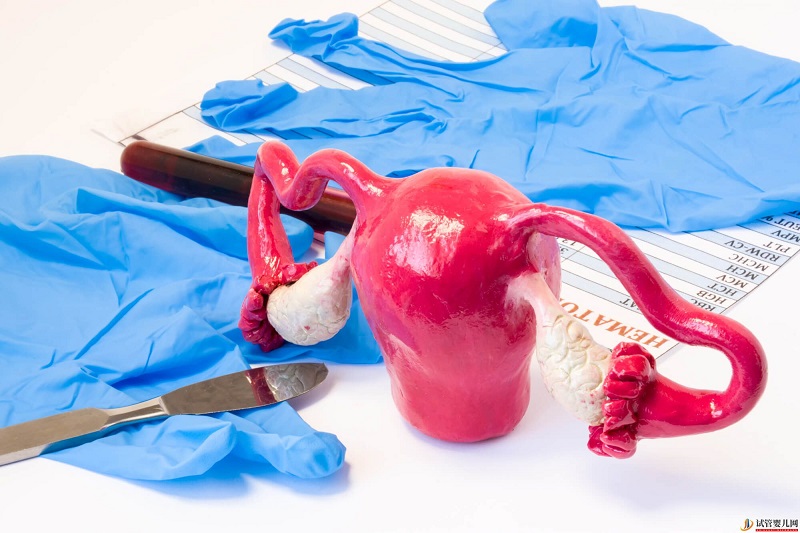 青海2家試管嬰兒醫院排名、成功率與費用是否醫保報銷？(圖2)