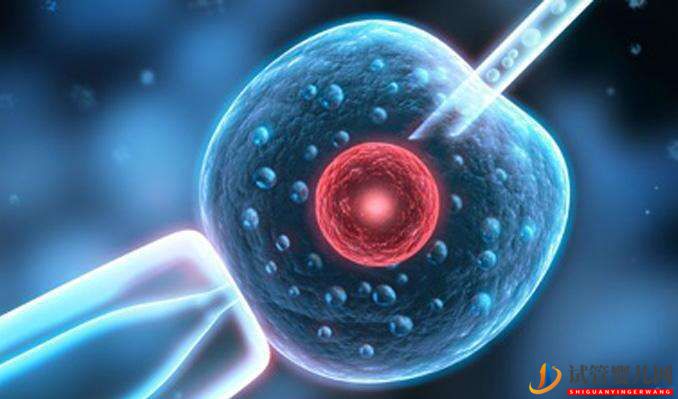 試管嬰兒取卵前后6大注意事項你知道多少？(圖1)