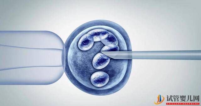 試管嬰兒真的不同嗎？體質、壽命、智商等，恐怕讓某些人“失望”(圖2)