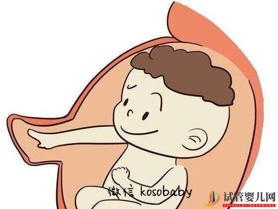 是什么原因?qū)е屡圆慌怕?，這樣情況能做試管嬰兒嗎(圖1)