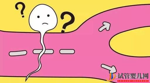 無精癥,還能生出自己的孩子嗎(試管嬰兒費(fèi)用大概要多少錢)(圖1) 無精癥,還能生出自己的孩子嗎(圖1)