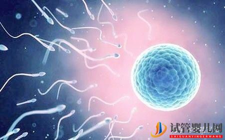 無精癥,還能生出自己的孩子嗎(試管嬰兒費(fèi)用大概要多少錢)(圖3) 無精癥,還能生出自己的孩子嗎(圖2)