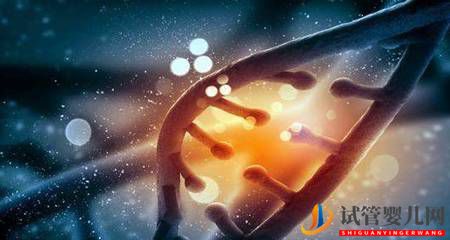 研究發現：基因突變可以促進肝損傷后的再生(圖1)