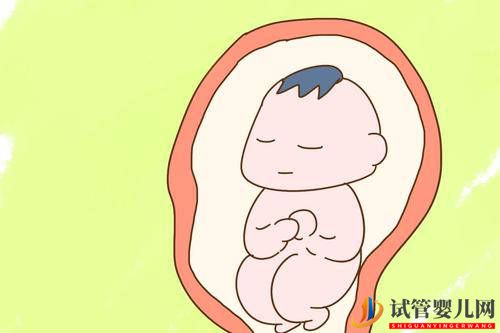 在進入試管周期前日常飲食應該怎么吃?(試管嬰兒費用大概要多少錢)(圖1) 在進入試管周期前日常飲食應該怎么吃?(圖1)