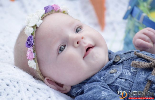 盤點美國試管嬰兒的整個試管流程(圖1)