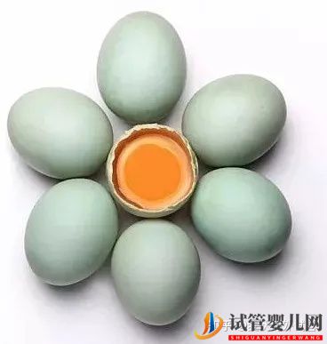 美國(guó)IVF無痛取卵的過程(試管嬰兒多少錢)(圖1) 美國(guó)IVF無痛取卵的過程(圖1)