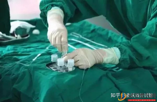 美國(guó)IVF無痛取卵的過程(試管嬰兒多少錢)(圖5) 美國(guó)IVF無痛取卵的過程(圖3)