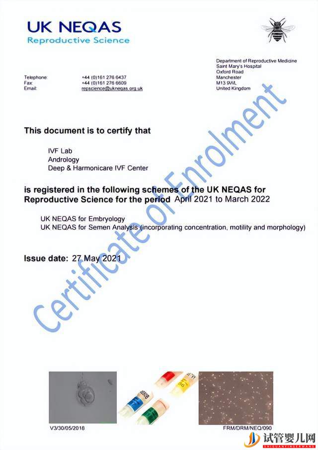 分享泰國第三代試管嬰兒-泰國dhc(圖3)