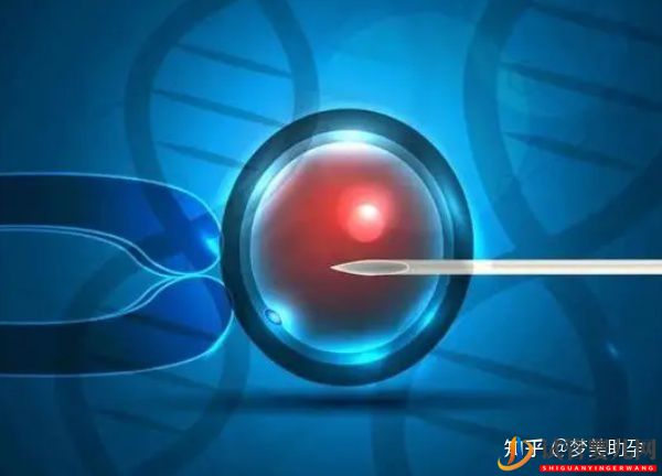 美國(guó)第三代試管嬰兒成功率是多少詳解操作流程(圖2)