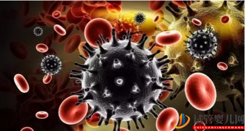 艾滋病患者是怎么做泰國(guó)試管嬰兒來避免孩子感染(圖1) 艾滋病患者是怎么做泰國(guó)試管嬰兒來避免孩子感染(圖1)