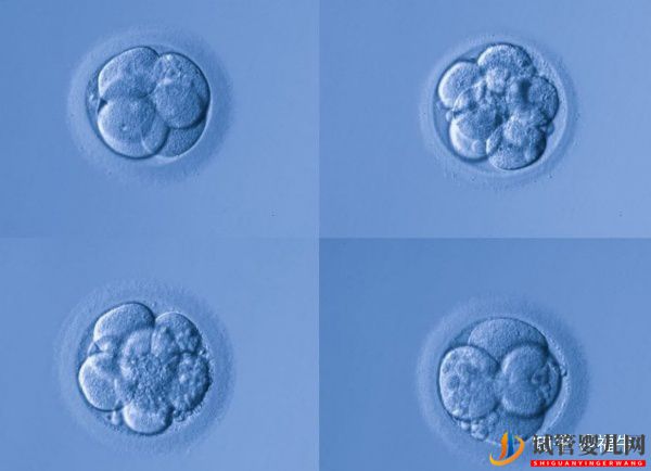 美國HRC試管專家解析三代試管嬰兒技術的優缺點(圖3)