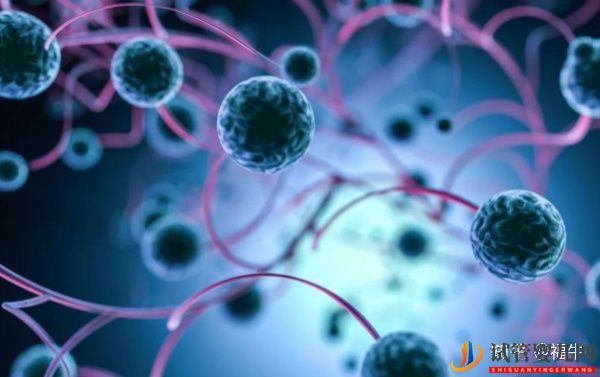 美國HRC試管專家解析三代試管嬰兒技術的優缺點(圖6)