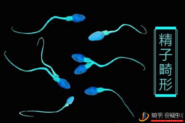 美國HRC試管專家解析三代試管嬰兒技術的優缺點(圖5)