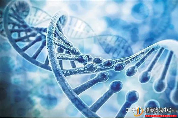 俄羅斯試管嬰兒為什么能包生男孩呢(圖3)