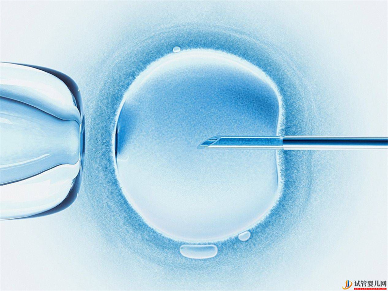 為什么試管嬰兒助孕還可能發生宮外孕(圖1)