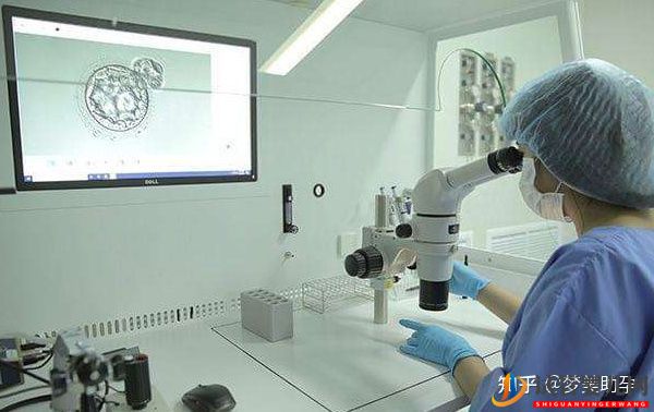 美國試管胚胎移植幾個最好呢(圖4)