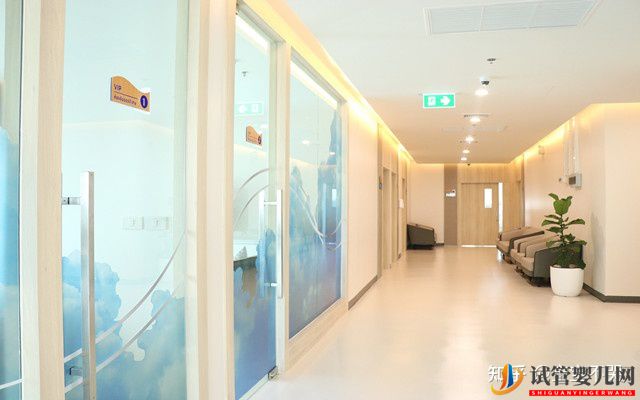 去泰國做第三代試管嬰兒有哪些優勢呢(圖1)