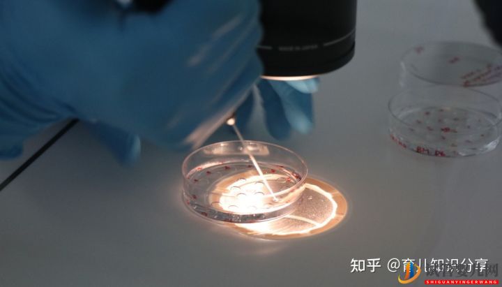 去泰國(guó)做試管需要條件要準(zhǔn)生證嗎(圖2) 去泰國(guó)做試管需要條件要準(zhǔn)生證嗎(圖2)