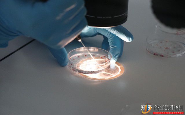 去泰國做試管需要準備好哪些證件(圖1)