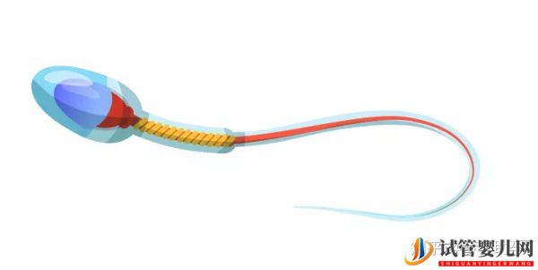 美國試管嬰兒到底強在哪兒,究竟是什么水平(圖3)