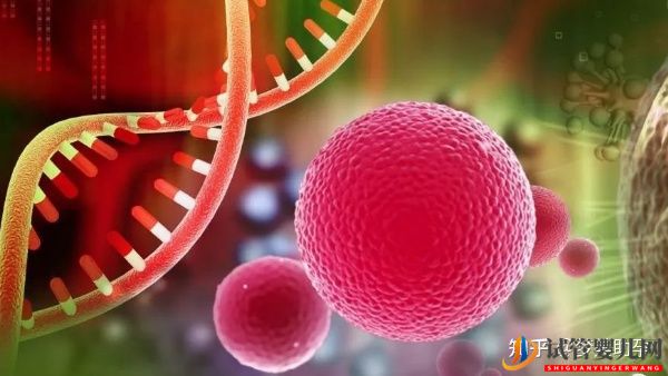 美國試管嬰兒到底強在哪兒,究竟是什么水平(圖6)