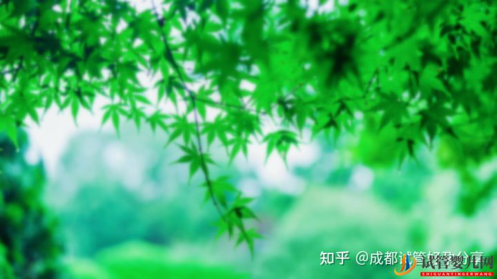 去泰國(guó)做試管怎么樣費(fèi)用是多少(圖1)