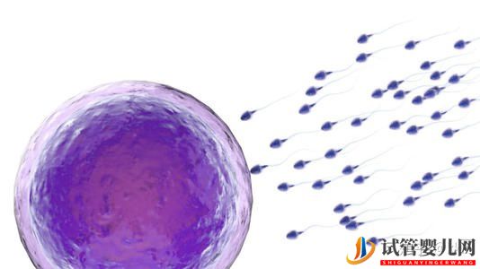 美國試管嬰兒的正規流程你知道多少(圖1)