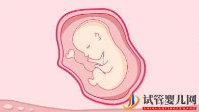 美國試管嬰兒的正規流程你知道多少(圖2)