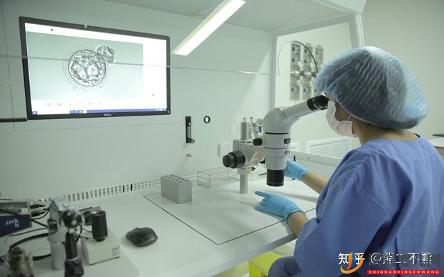 泰國做試管嬰兒優(yōu)勢有哪些2021(圖4) 泰國做試管嬰兒優(yōu)勢有哪些(圖2)