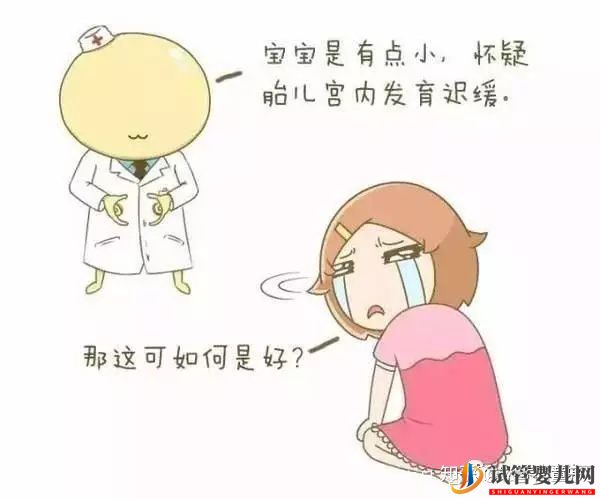 做美國試管嬰兒生育雙胞胎是什么感受(圖3)