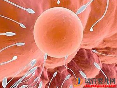 試管嬰兒需要補葉酸嗎補多少葉酸要注意(圖1)