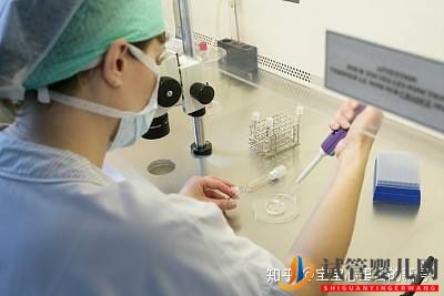 泰國第三代試管嬰兒費用如何降低成功率如何提高(圖2)