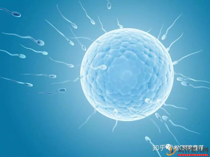 關(guān)于美國(guó)試管嬰兒技術(shù)的問題一網(wǎng)打盡(圖1)