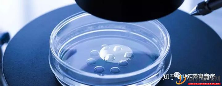 關(guān)于美國(guó)試管嬰兒技術(shù)的問題一網(wǎng)打盡(圖3)