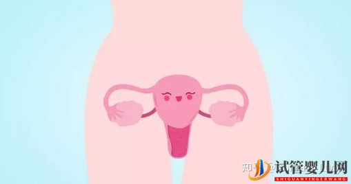 做泰國試管嬰兒要滿足哪些條件(圖4) 做泰國試管嬰兒要滿足哪些條件(圖4)