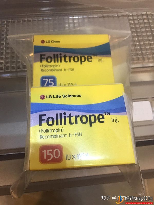 為什么大家都喜歡去泰國做試管是因為泰國的試管...(圖3)