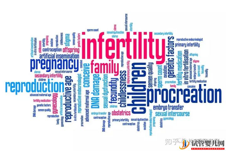 新春伊始男性如何為美國試管嬰兒做好充分準備(圖1)