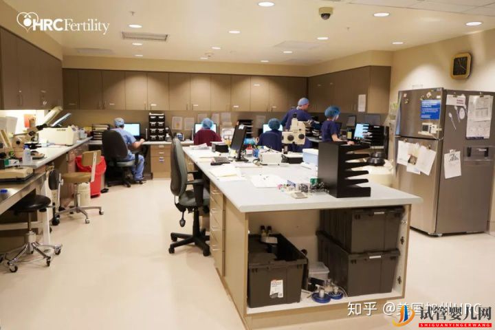 要去美國看病別怕!小C帶您全面了解美國試管嬰兒...(試管嬰兒多少錢)(圖29) 要去美國看病別怕!小C帶您全面了解美國試管嬰兒(圖6)