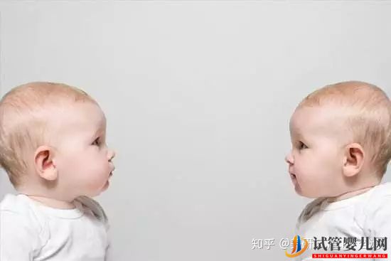 想一次圓夢雙胞胎,美國試管嬰兒了解一下(圖2)