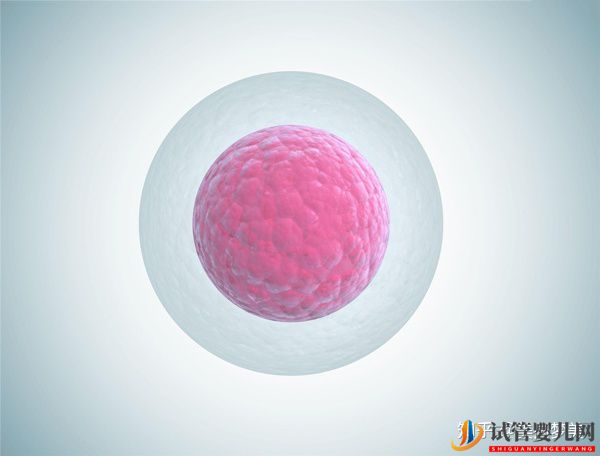 赴美試管嬰兒促排取卵原來是這樣操作的(圖3)