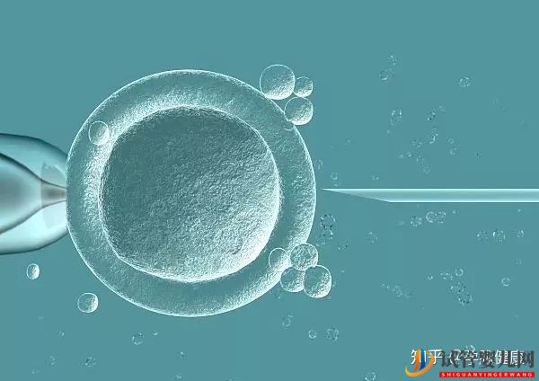 中美試管嬰兒的差異在哪里(圖1)