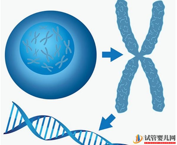 38歲高齡女性赴美試管成功率是多少(圖7)