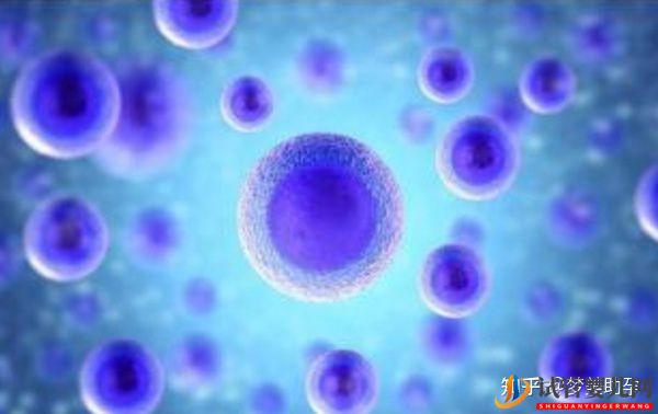 38歲高齡女性赴美試管成功率是多少-夢(mèng)美(試管嬰兒多少錢)(圖12) 38歲高齡女性赴美試管成功率是多少(圖6)