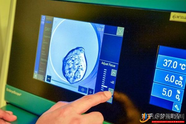 多次試管失敗,赴美試管成功率如何-夢(mèng)美(試管嬰兒多少錢)(圖14) 多次試管失敗,赴美試管成功率如何(圖7)